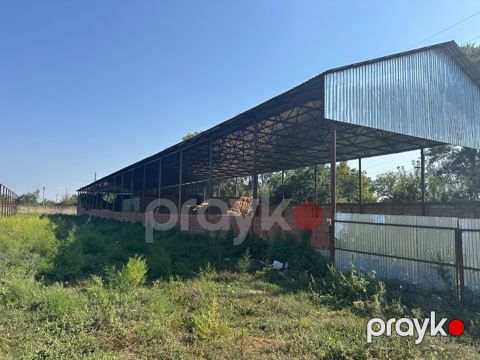 İstehsalat, 1000 m², Oğuz — Oğuz
