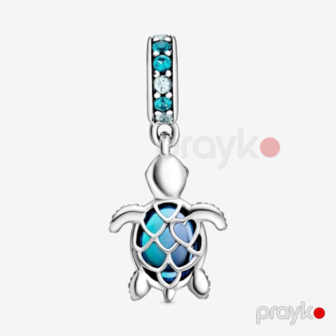 Şarm PNCH086 Gümüşü — Mallar, Bakı (2)