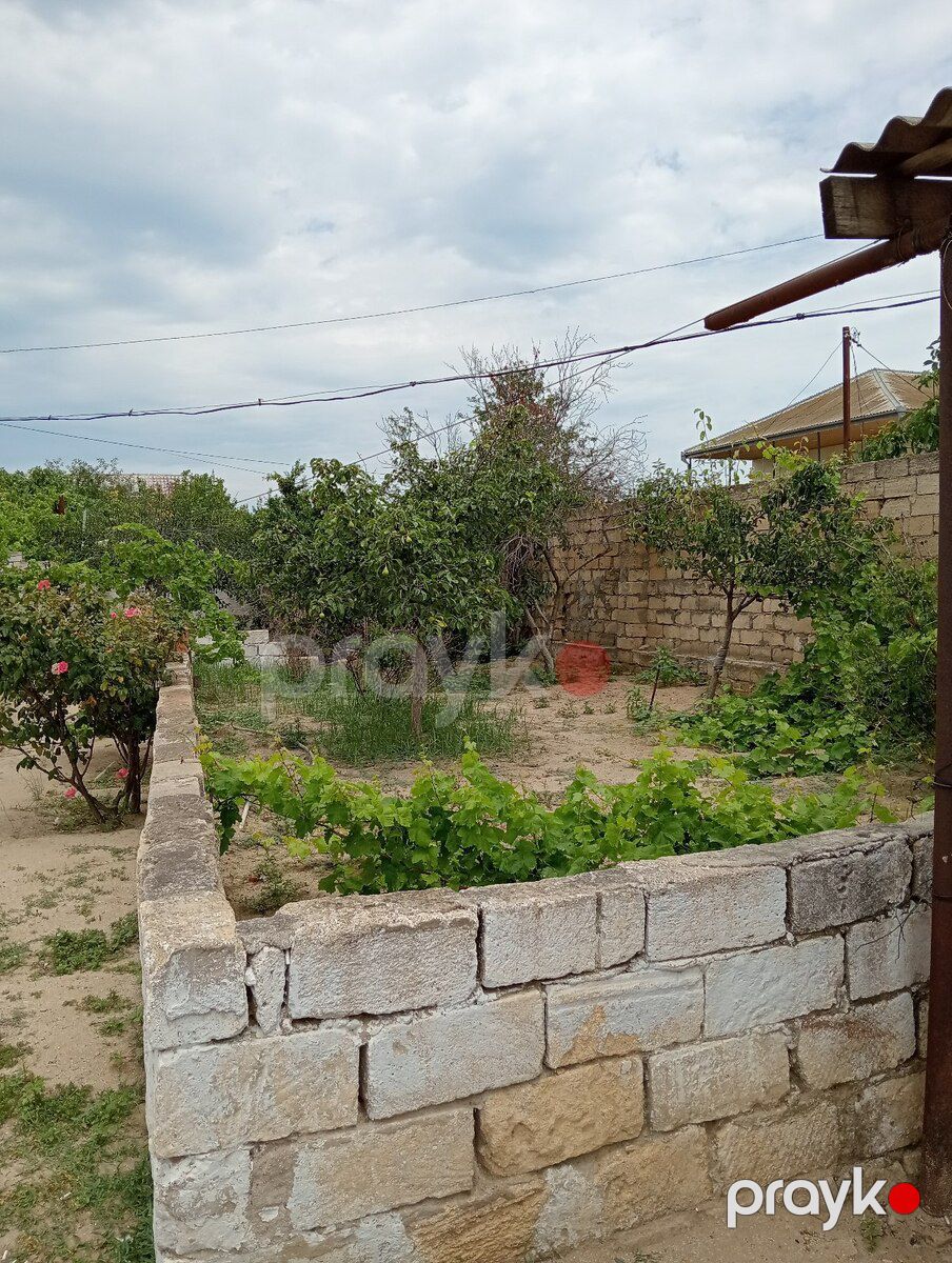 Bağ evi, Novxanı qəs — Ev, villa, Bakı (3)