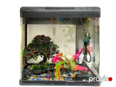 Akvarium K-522-11-4, filter ilə — Bakı