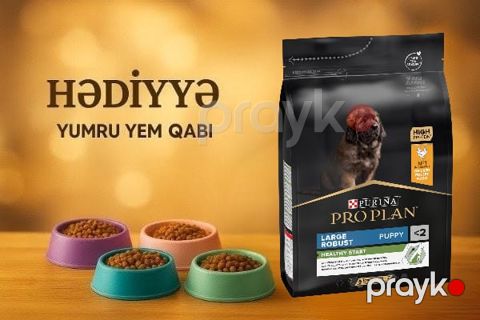 Quru yem Purina Pro Plan Large Robust Puppy böyük cins bala itlər üçün, toyuq əti ilə, 12 kq + Yem qabı Hədiyyə — Bakı