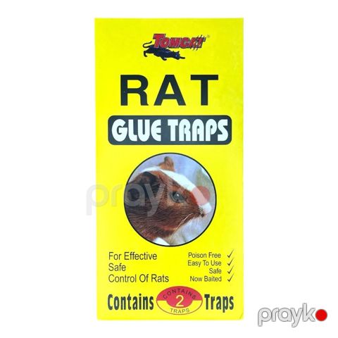 Rat kley sari — Bakı