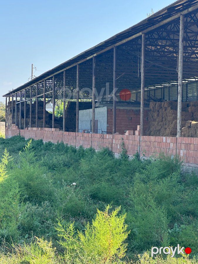 İstehsalat, 1000 m², Oğuz — Daşınmaz əmlak, Oğuz (5)