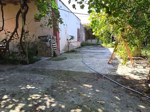 Yaşıl həyətli fərdi ev sahəsi - Geniş həyət: betonlanmış keçid və — Bakı