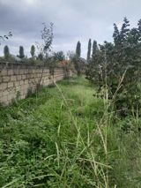 Satılır torpaq 40 sot — Rüfət