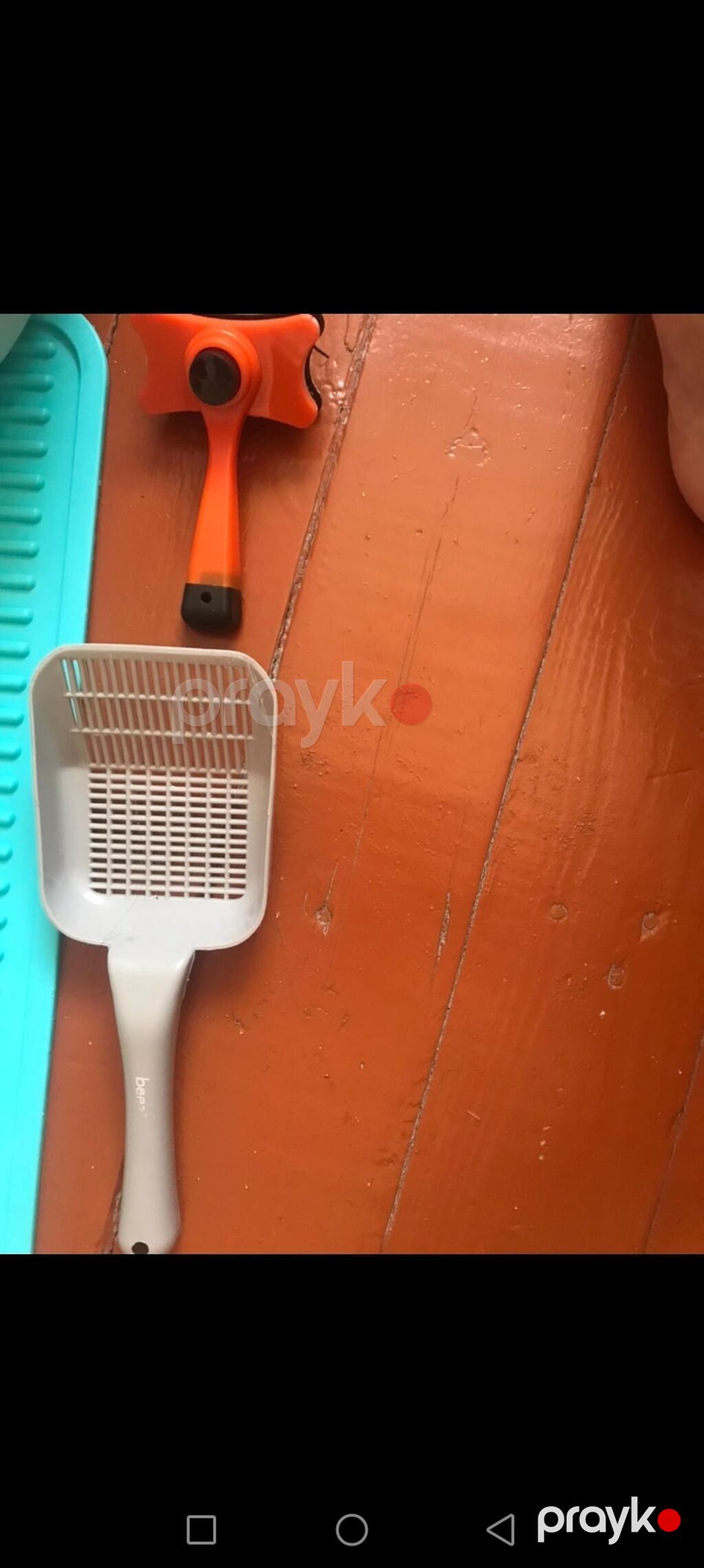 Endirim olunacaq. Pişik üçün aksesuarlar dəsti - Qapalı pişik — Digər, Bakı (5)