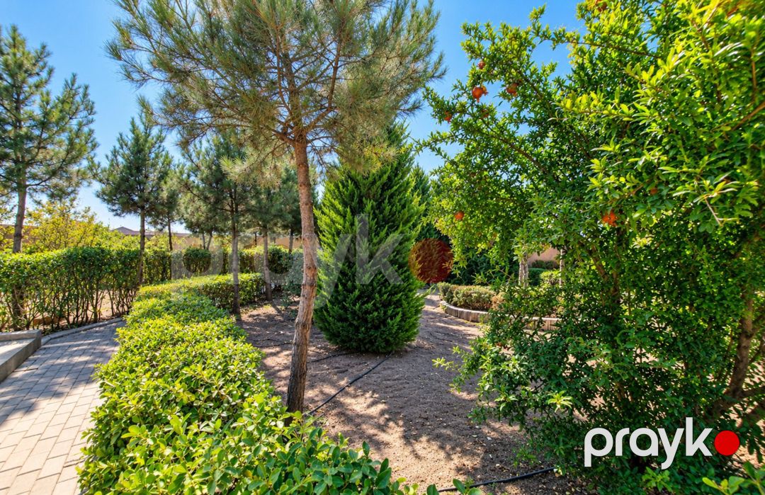 Satılır 8 otaqlı həyət evi/bağ evi 500 m² — Ev, villa, Bakı (8)
