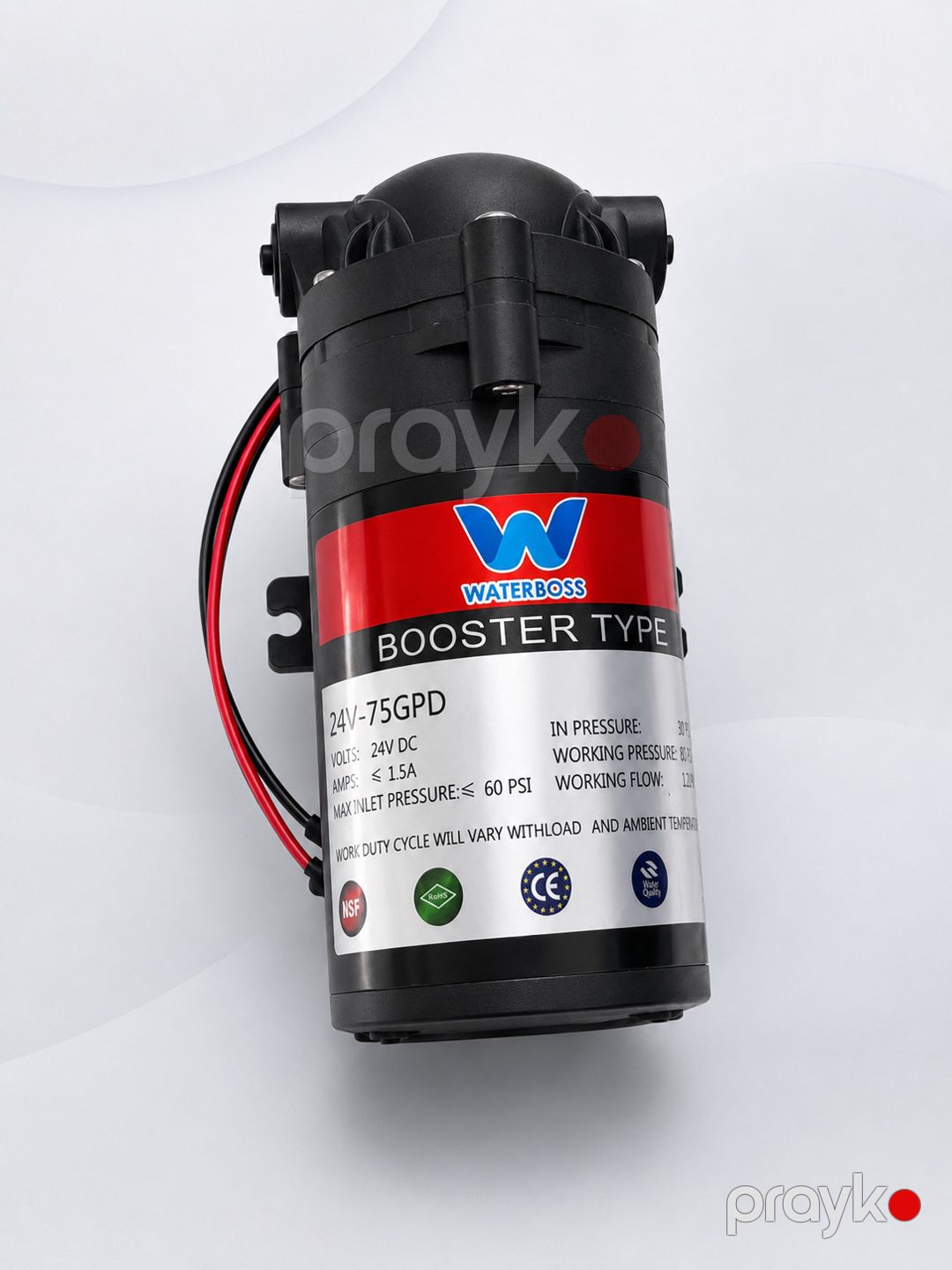 Su filtri üçün nasos WaterBoss 75GPD — Mallar, Bakı (2)