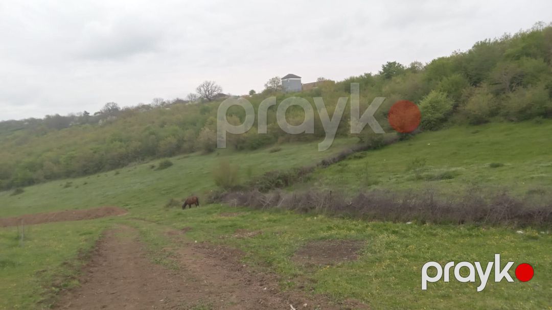 12 sot torpaq sahəsi, Pirəbədil kəndi — Torpaq, Şabran (2)