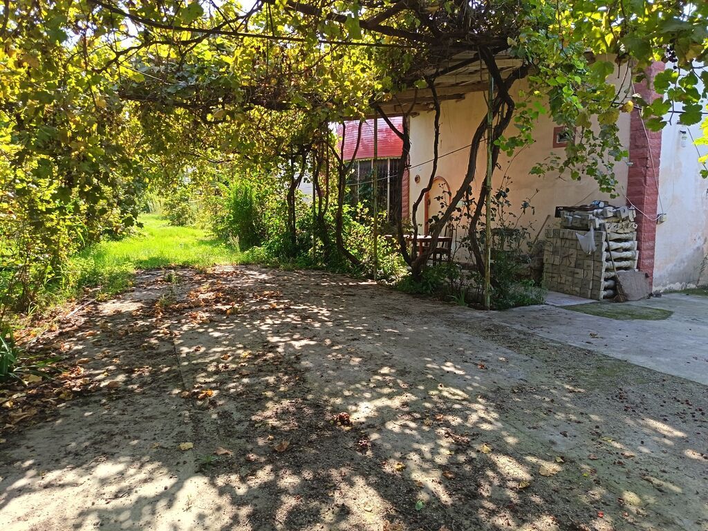 Yaşıl həyətli fərdi ev sahəsi - Geniş həyət: betonlanmış keçid və — Ev, villa, Bakı (4)