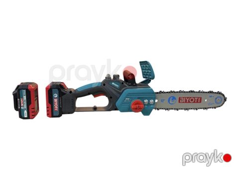 Akummlyatorlu mişar Biyoti 1000 Vt — Bakı