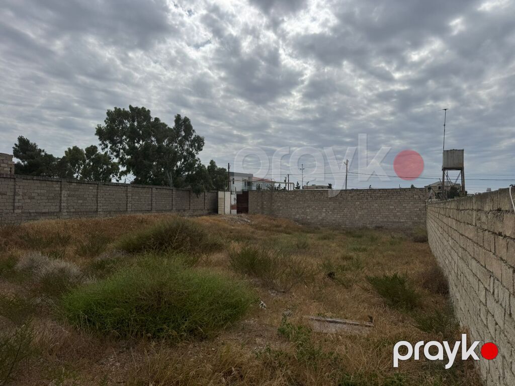 Satılır torpaq 11 sot — Torpaq, Bakı (3)