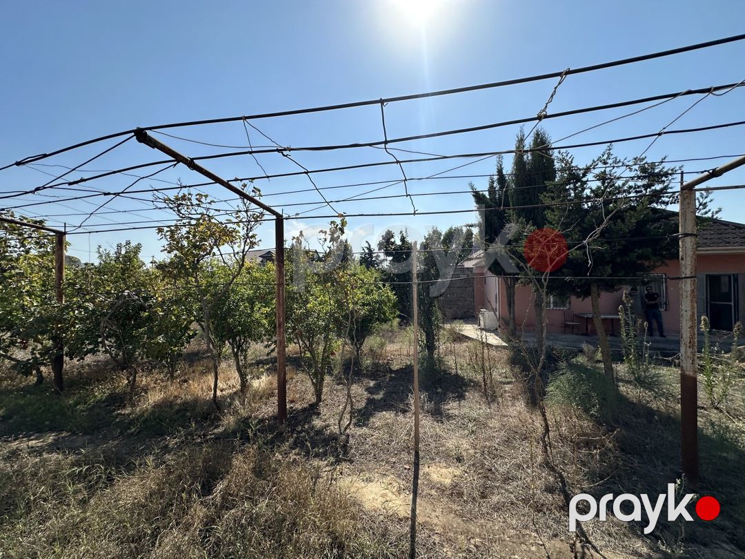 Satılır torpaq 12 sot — Torpaq, Bakı (4)