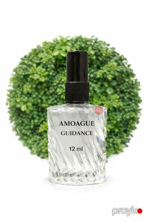 Tac Amoague Guidance kişilər üçün ətir suyu 12 ml — Bakı