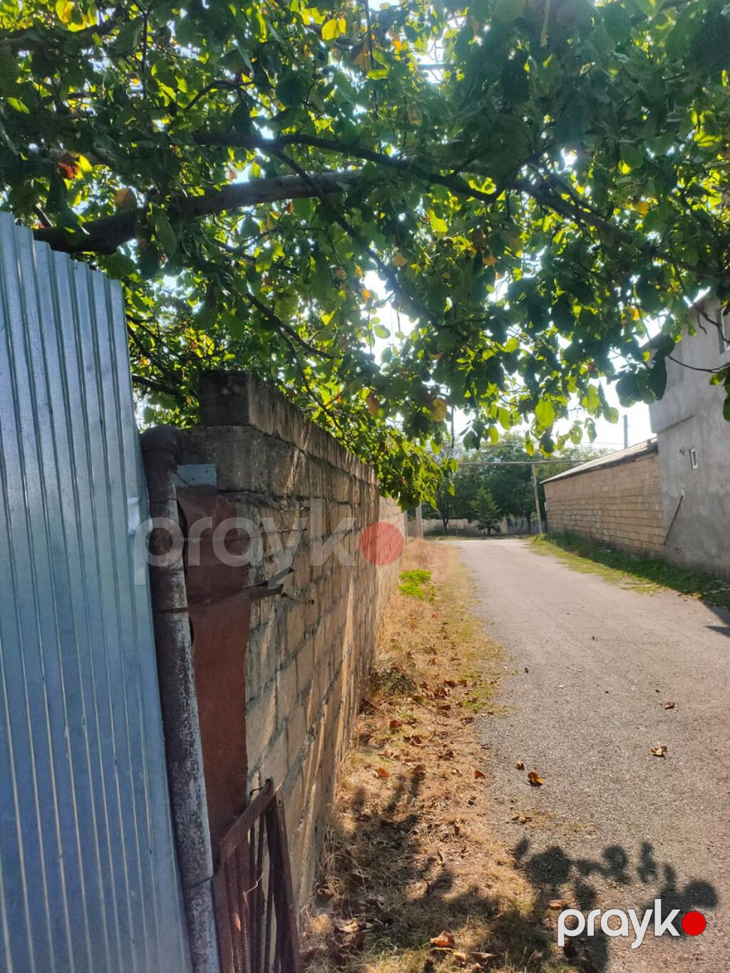 Tikinti, Mülkiyyətçi, Kupça (Çıxarış) — Torpaq, Oğuz (2)
