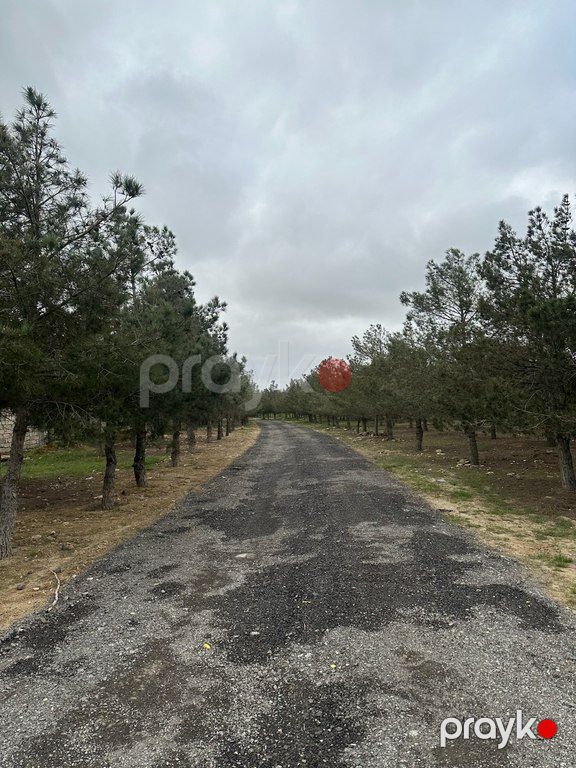 14.40 sot torpaq sahəsi, Şüvəlan qəs — Torpaq, Bakı (4)