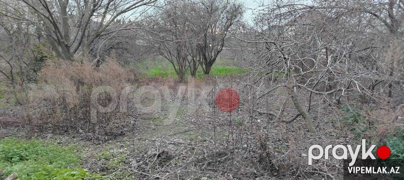 Xətai rayonunda Torpaq Satılır, 3 sot — Torpaq, Bakı (6)