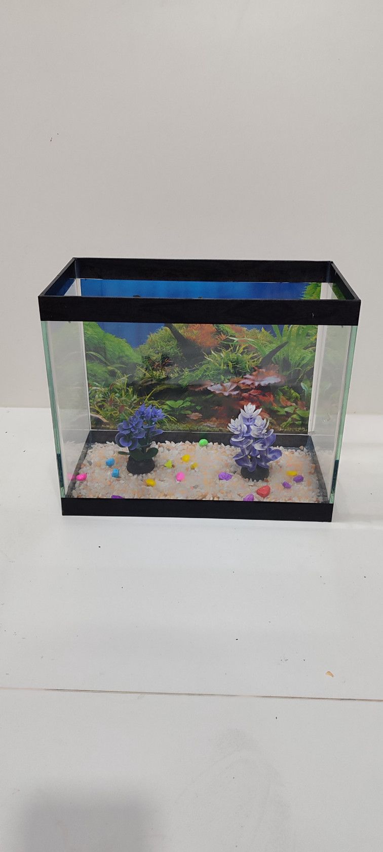 Akvarium, şüşə, 25x30x17 sm, 10 l — Mallar, Bakı (2)