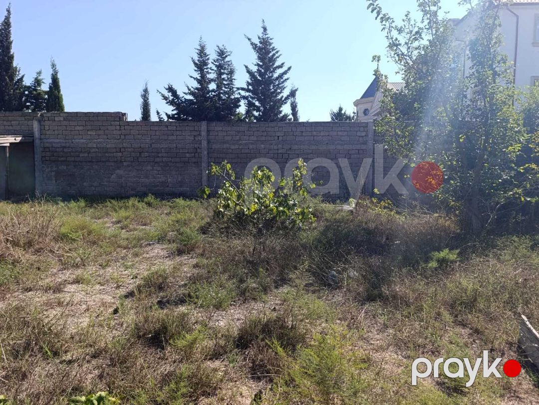 Satılır torpaq 9 sot — Torpaq, Bakı (4)