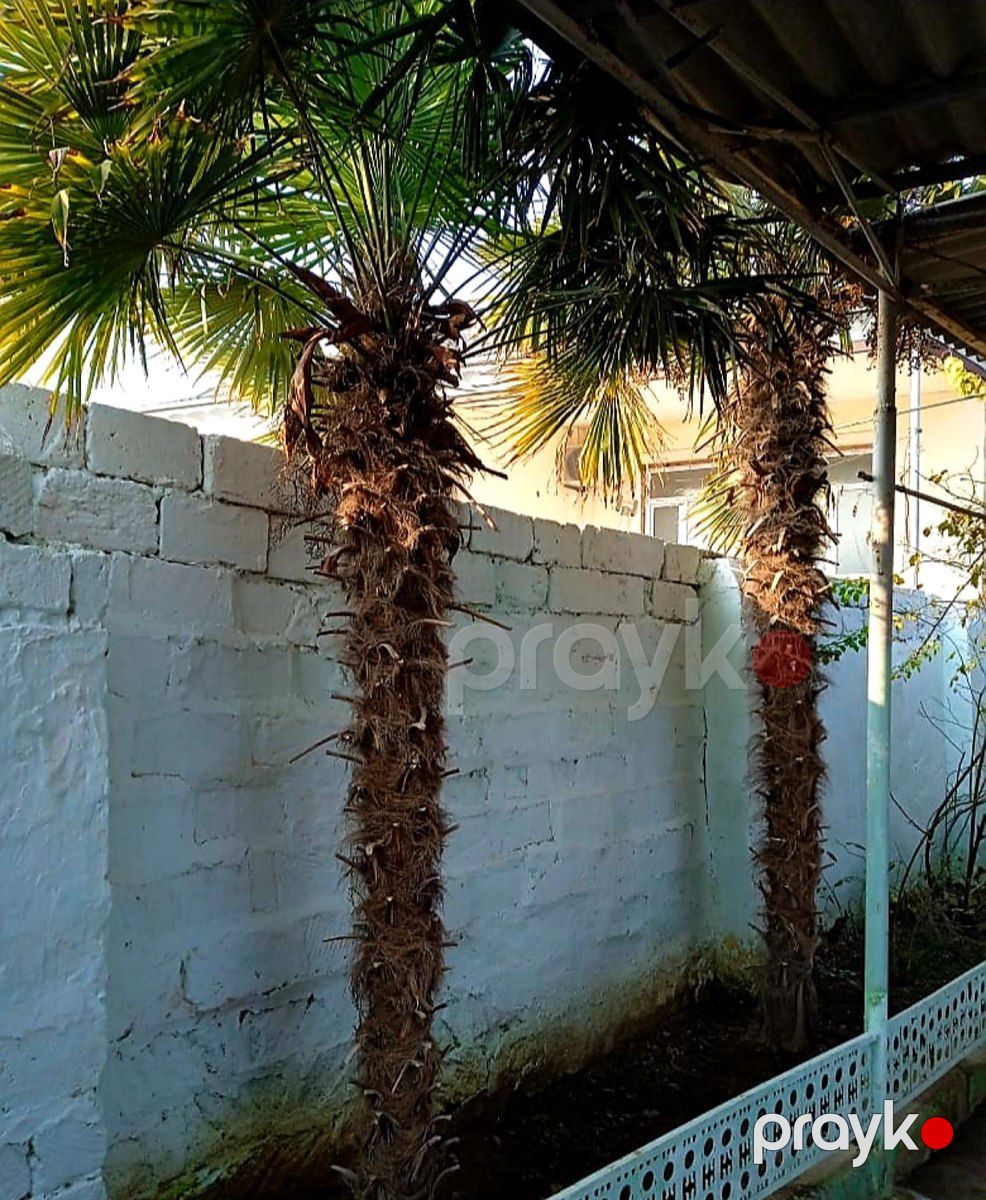 Həyət evi, Məhəmməd Əsədov küç. 69 — Ev, villa, Şirvan (7)