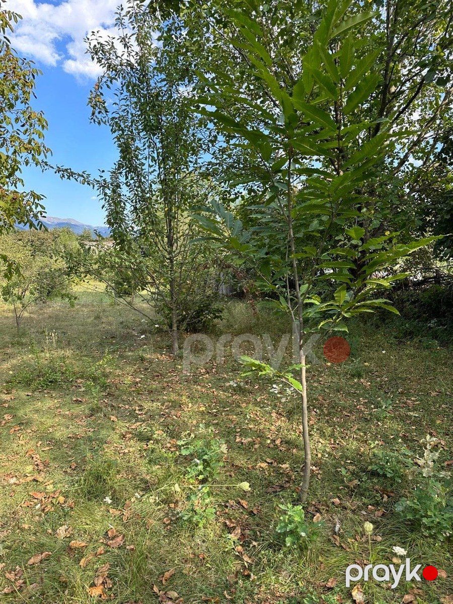 Satılır torpaq 12 sot — Torpaq, İsmayıllı (4)