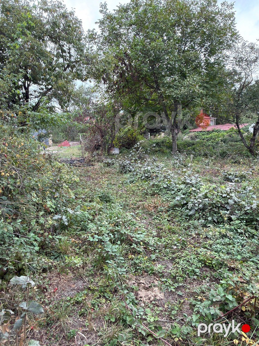 4 sot torpaq sahəsi, Qusar r — Torpaq, Qusar (4)
