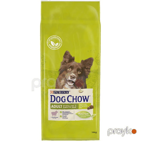 Quru yem Dog Chow böyük itlər üçün quzu ilı 14 kq — Bakı