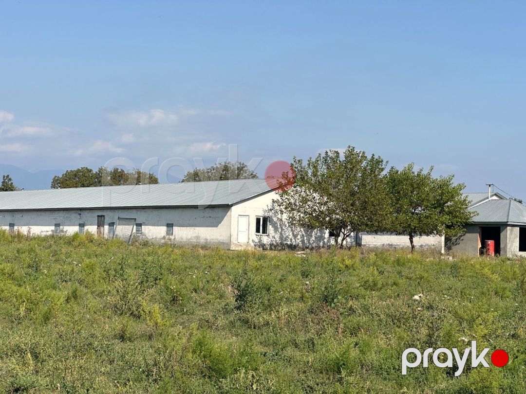 İstehsalat, 1000 m², Oğuz — Daşınmaz əmlak, Oğuz (2)