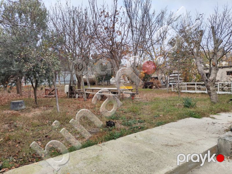 otaqlı Villa / Həyət evi, Satış, Bakı — Ev, villa, Bakı (6)