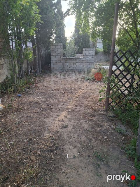 3 sot, Tikinti, Kupça (Çıxarış) — Digah
