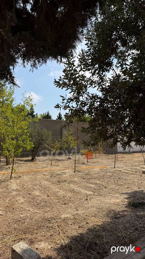 Satılır torpaq 2 sot — Bakı