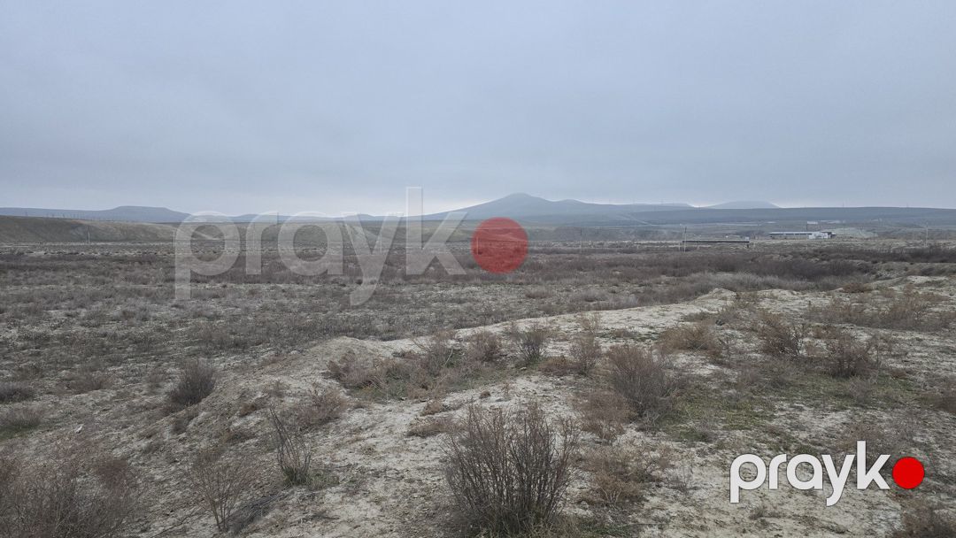 Satılır torpaq 506 sot — Torpaq, Bakı (6)