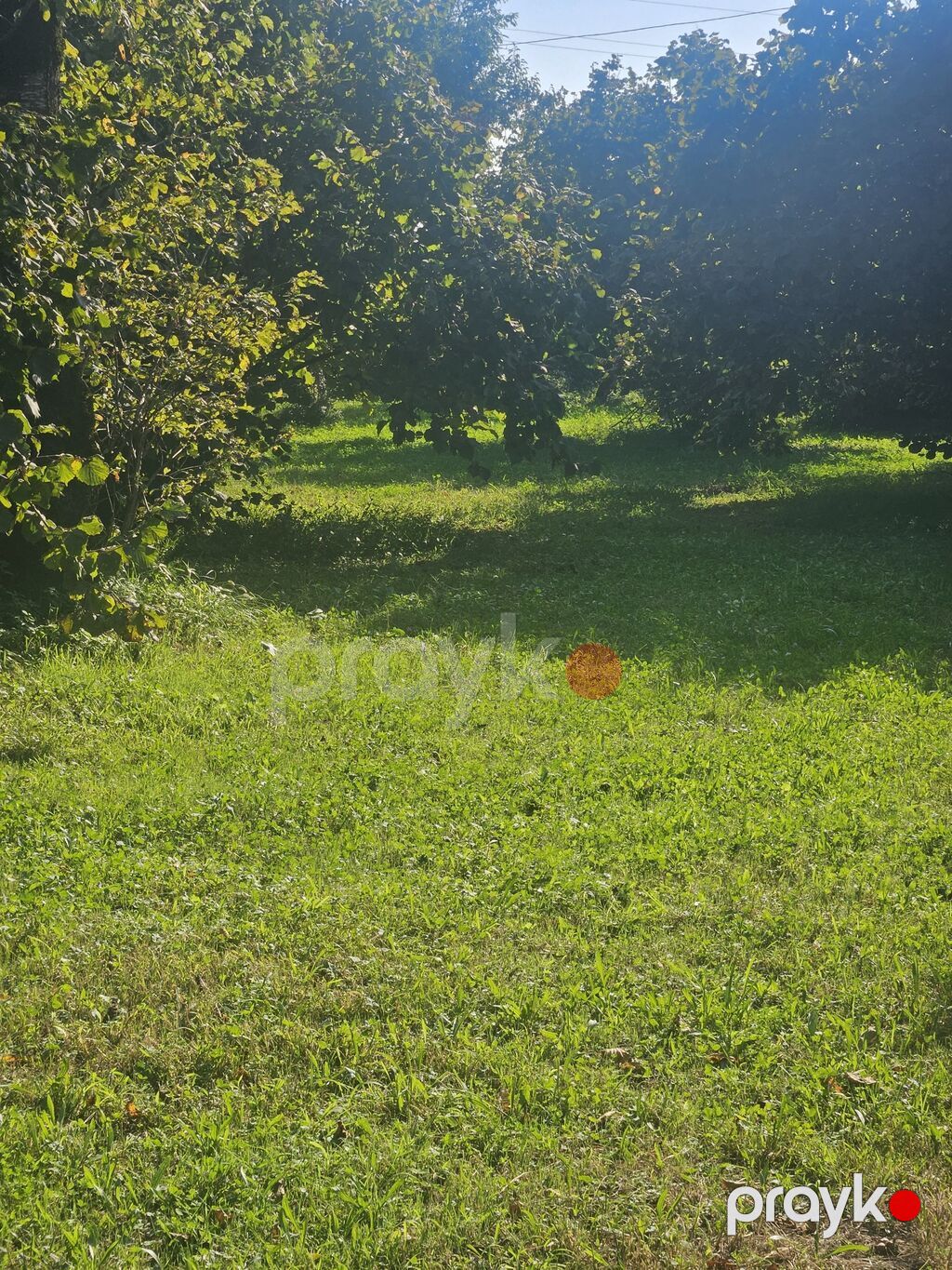 Balaken rayon Katex kendi merkezde yerlesen 35 sot torpaq satilir. 13 — Ev, villa, Zaqatala (3)