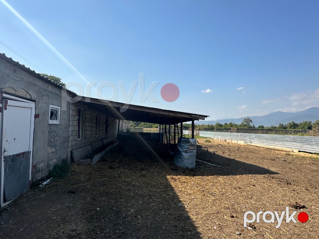 İstehsalat, 1000 m², Oğuz — Daşınmaz əmlak, Oğuz (10)