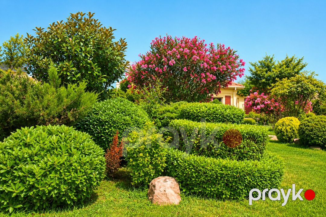 Satılır 9 otaqlı həyət evi/bağ evi 1000 m² — Ev, villa, Bakı (4)