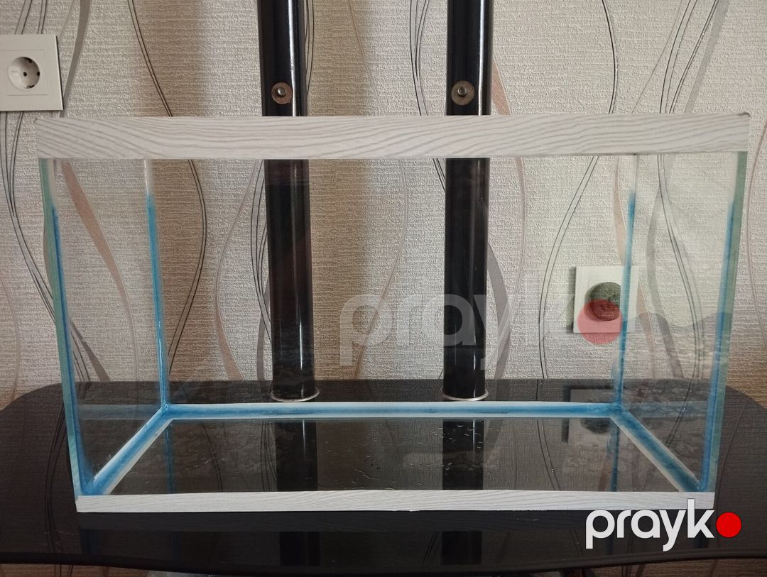 Akvarium — Akvariumlar və balıqlar, Bakı (10)