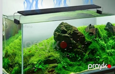 Water Grass Lamp akvarium bitki işığı — Bakı