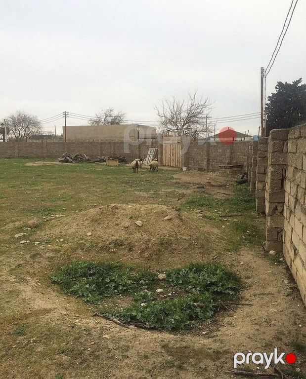 16 sot torpaq sahəsi icarəyə verilir, Xəzər r — Torpaq, Bakı (4)