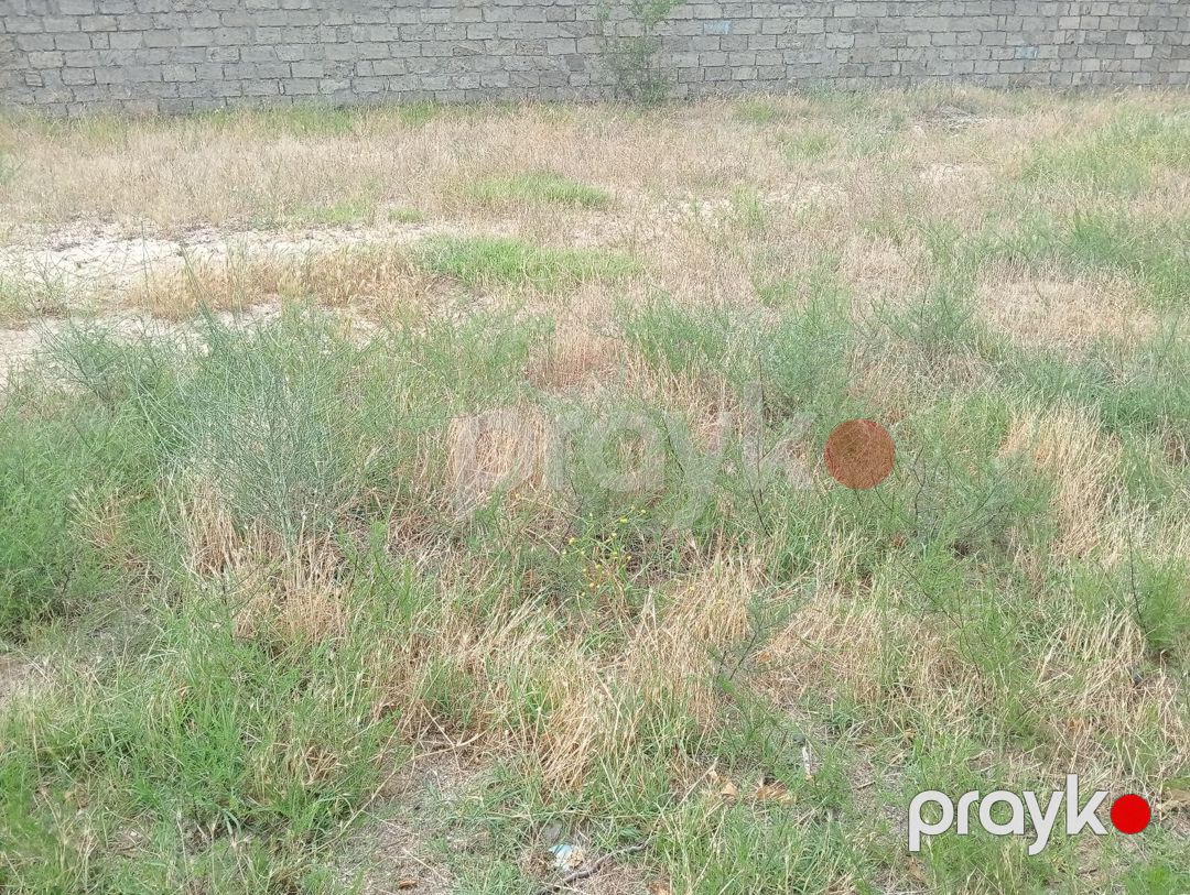 3 sot torpaq sahəsi, Sumqayıt ş — Torpaq, Sumqayıt (4)