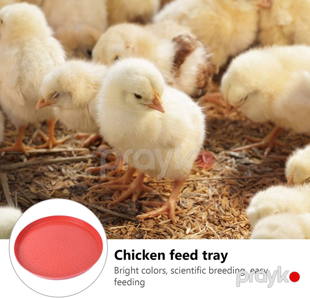 Yem təknəsi İL-5009, plastik, qırmızı — Mallar, Bakı (3)
