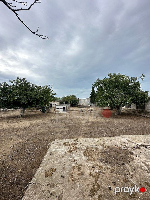 12 sot torpaq sahəsi, Xəzər r — Torpaq, Bakı (5)