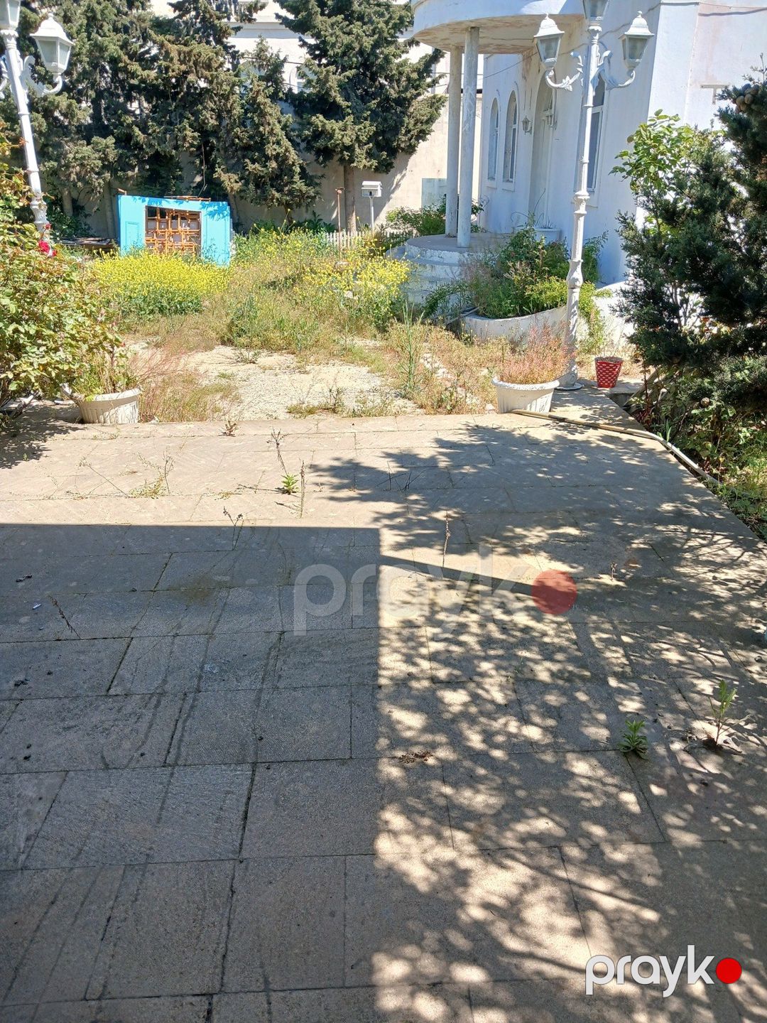 Satılır torpaq 9 sot — Torpaq, Bakı (4)