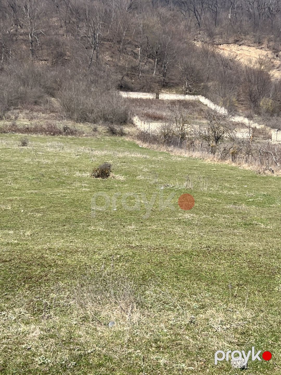 Satılır torpaq 24 sot — Torpaq, Qusar (5)
