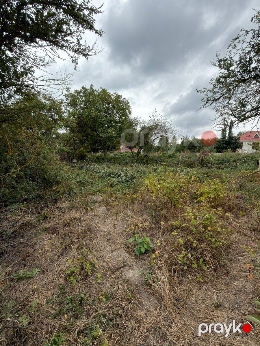 4 sot torpaq sahəsi, Qusar r — Torpaq, Qusar (2)