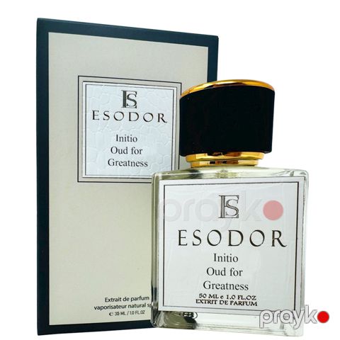 Esodor Initio Oud for Greatness uniseks ətir suyu 50 ml — Bakı