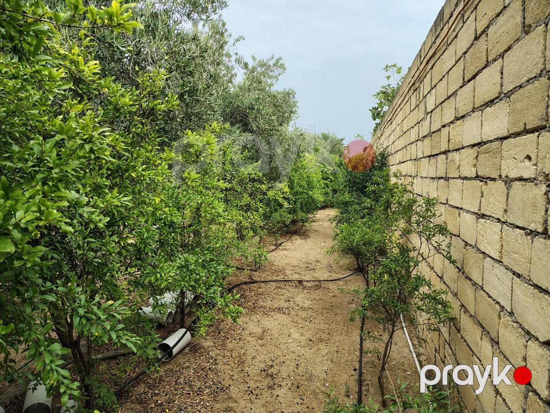 Satılır torpaq 12 sot — Torpaq, Bakı (5)