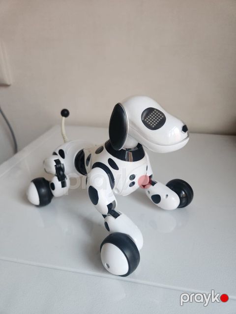 Robot it Zoomer — Bakı