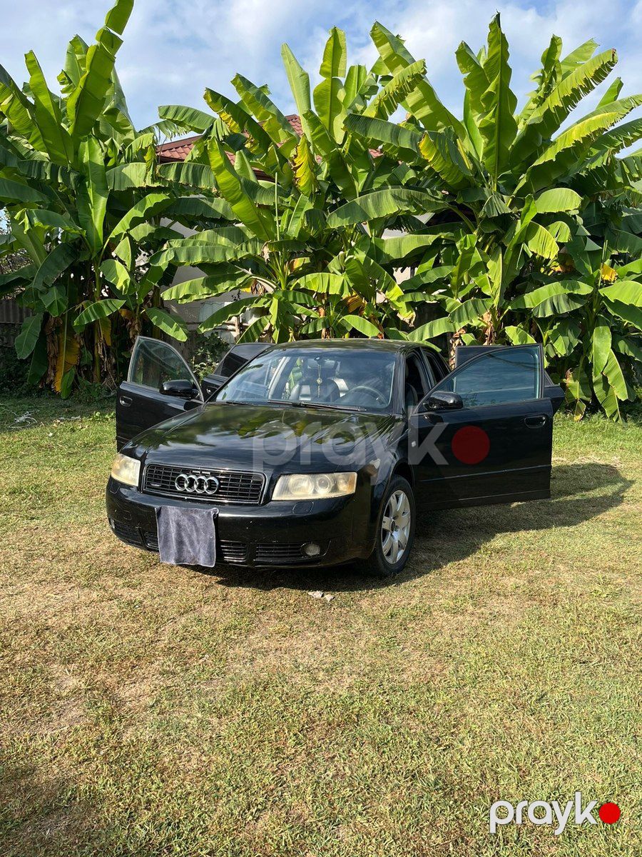 Audi A4, 2003 il — Avtomobillər, Qax (2)