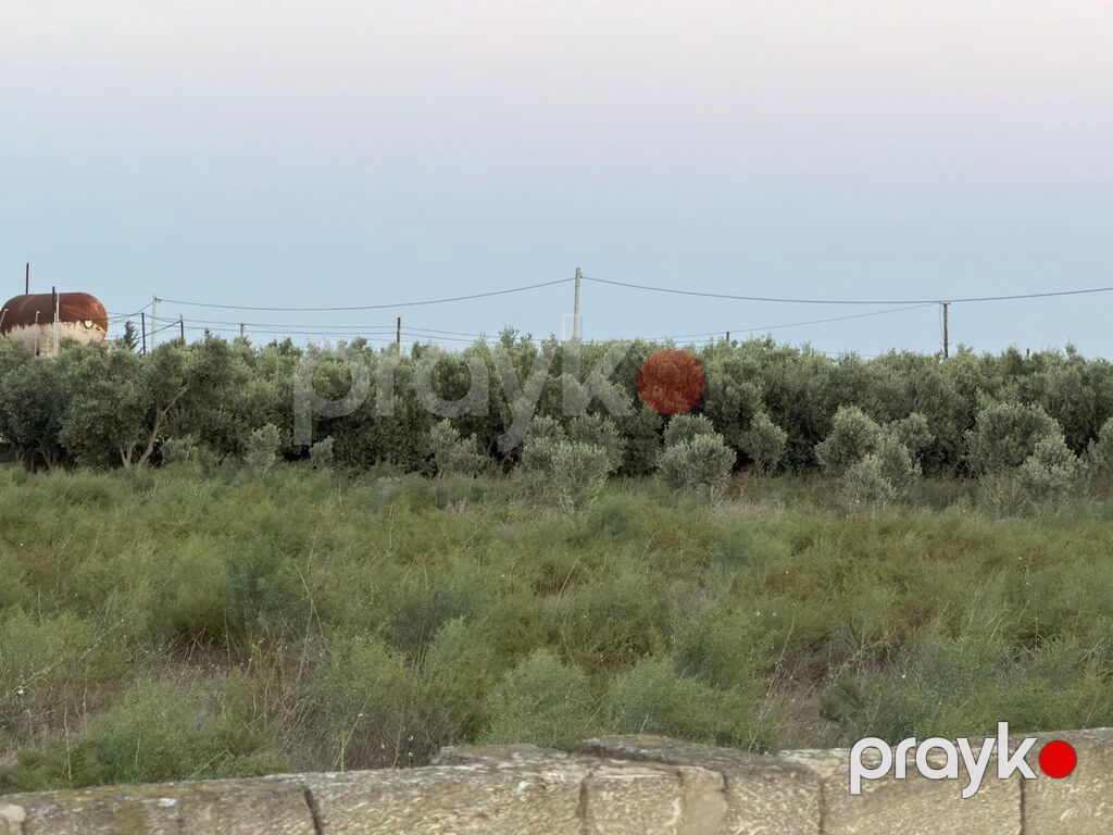 40 sot, Tikinti, Texniki pasport — Torpaq, Digah (10)