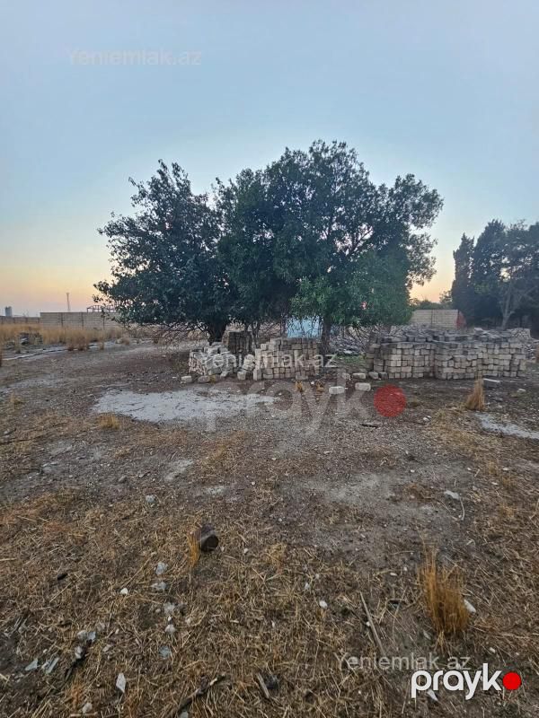 Satılır Torpaq sahəsi, 100 sot, Kotec qəs — Torpaq, Sumqayıt (3)